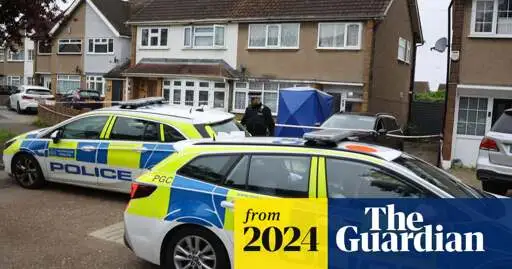 Woman killed by her two XL bully dogs at home in east London