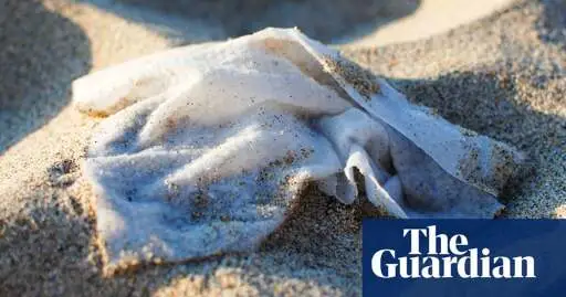 Spain aims to ban flushing of wet wipes, with manufacturers paying for cleanup