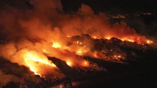 Brazilian justice orders government to seize lands with proven illegal deforestation