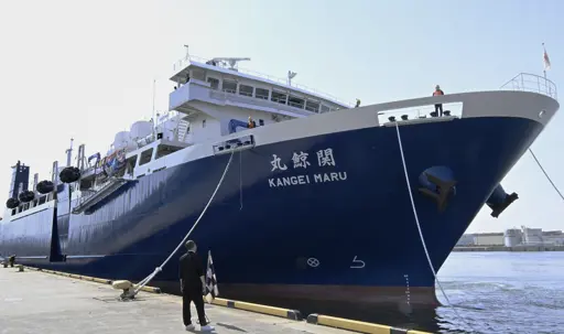 Japan whaling ship returns after taking 25 fin whales in Sea of Okhotsk